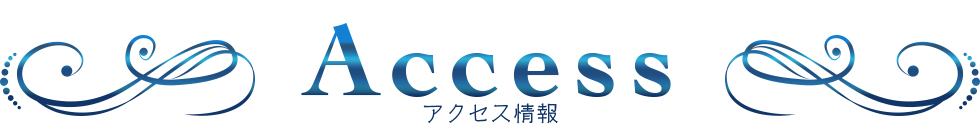 アクセス情報