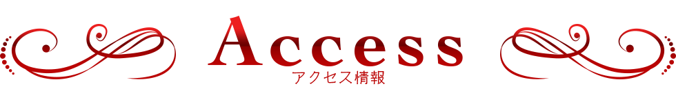 アクセス情報