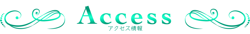 アクセス情報